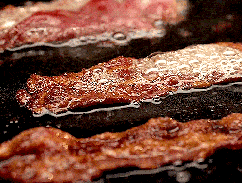 budget sewer bacon grease
